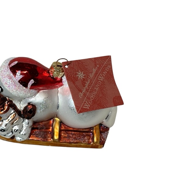 CHRISTOPHER RADKO SNOW RACER 1998 - Picture 6 of 9